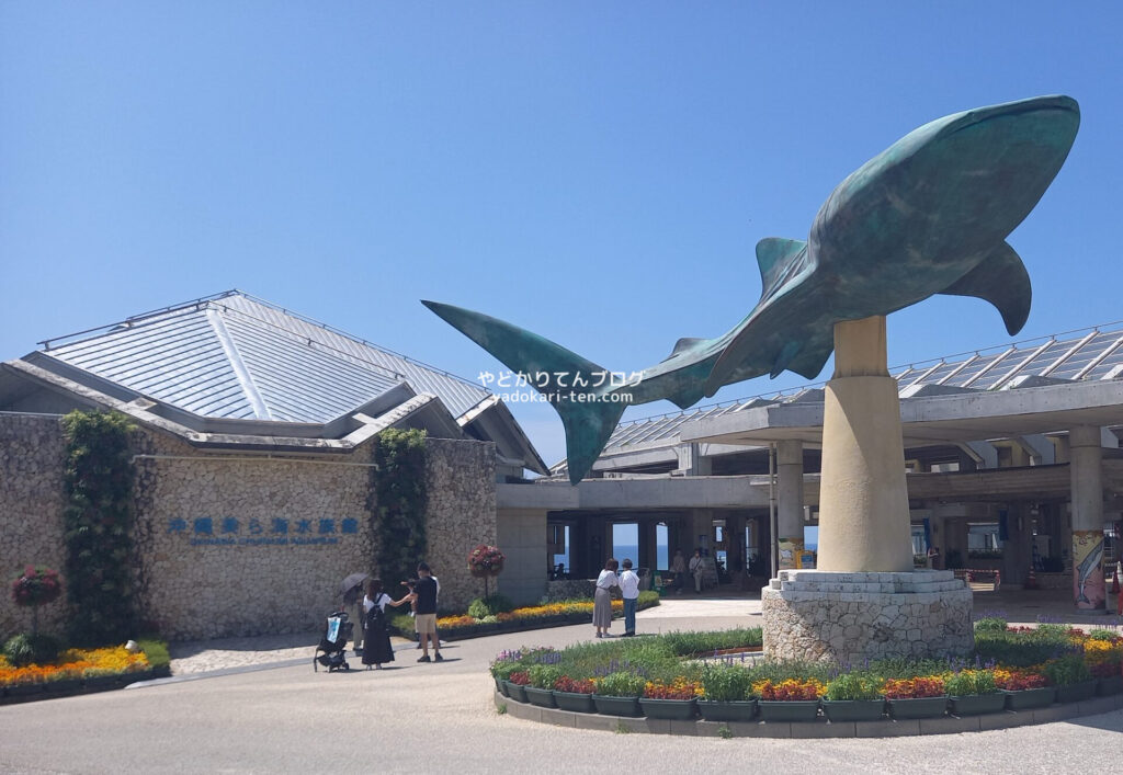 美ら海水族館