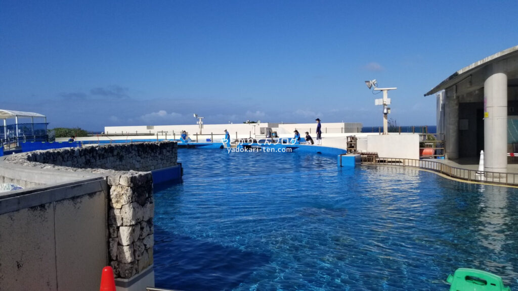 ロイヤルビューホテル美ら海宿泊後に行った朝の美ら海水族館